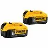 Dewalt DCB205-2 20V MAX XR Premium 5 Ah Lithium-Ion Battery (2-Pack)