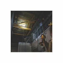 Dewalt DCL043 20V MAX Lithium-Ion Cordless LED Spot Light (Tool Only) -Dewalt Shop dewndcl043 c