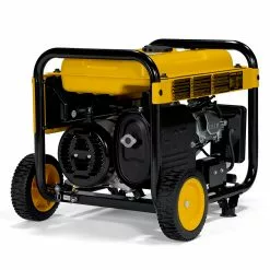 Dewalt PMC164000 DXGNR4000 4000 Watt 223cc Portable Gas Generator -Dewalt Shop dewnpmc164000 c