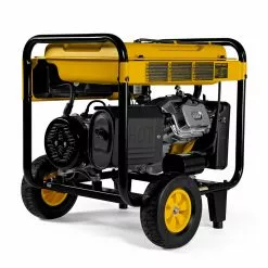 Dewalt PMC164000 DXGNR4000 4000 Watt 223cc Portable Gas Generator -Dewalt Shop dewnpmc164000 d